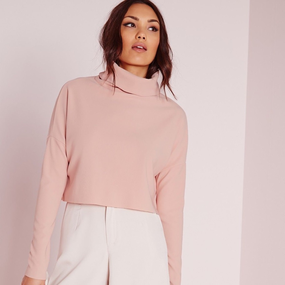 Missguided Roll Neck Otterman Rib Crop Top